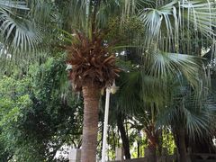 -船政文化景区-罗星塔公园