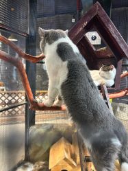 -酷嗒动物文化乐园(cutezoo西溪乐天城店)