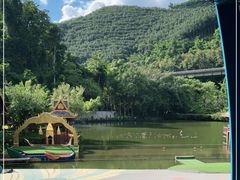 -西双版纳原始森林公园