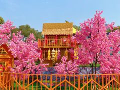 -温州乐园