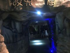 -佛山科学馆