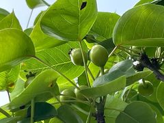 景点-长兴太湖图影湿地文化园