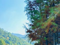 -广州市石门国家森林公园