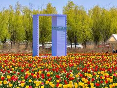-青岛胶东国际机场