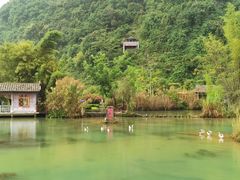 -靖西鹅泉风景区