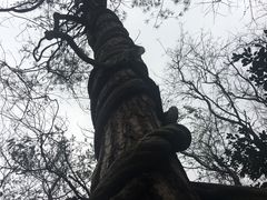 -天目湖山水园