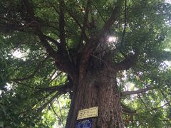 -金堂县云顶石城风景区