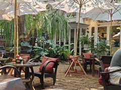-Fern Forest Cafe