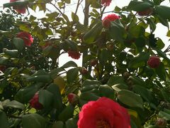 -艾溪湖湿地公园