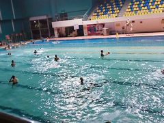 -重庆市奥林匹克体育中心-游泳跳水馆