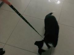 -申普宠物医院·眼科·心内科·影像科(普陀分院)