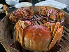 -七的湖·晚芳亭·阳澄湖农家菜·大闸蟹(莲花岛店)
