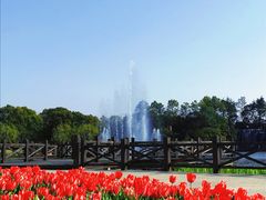-上海鲜花港