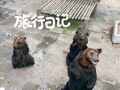 -西霞口神雕山野生动物世界