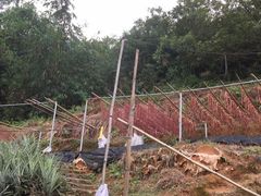 -天强农家菜馆
