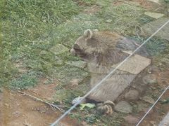 -秦皇岛野生动物园