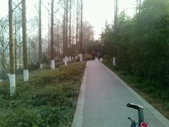 -敬亭山风景名胜区