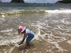 -西涌国际滨海旅游区