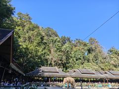 -野象谷景区