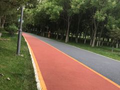 -大兴滨河森林公园