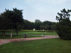 -北京国家会计学院