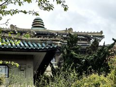 -武汉大学-樱园