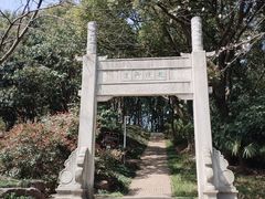 -苏州上方山国家森林公园