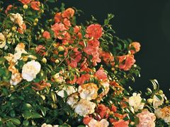 -长沙火车站(地铁站)