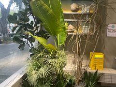 -自然椰·海南清补凉(明珠店)