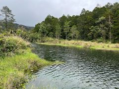 -海南热带雨林国家公园吊罗山景区
