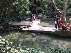 -香港大学