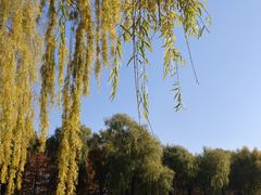 -长春市南湖公园