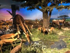 -国家自然博物馆