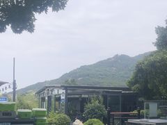 -蘇河湾·新鲁菜·泰山宴(泰山店)