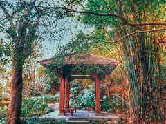 -深圳国际园林花卉博览园