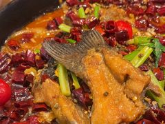 -老板恋上鱼(印象城店)