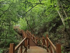 -大岭沟猕猴桃谷风景区