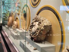 -湖南省地质博物馆