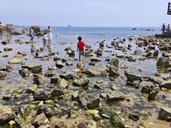 -养马岛旅游度假区