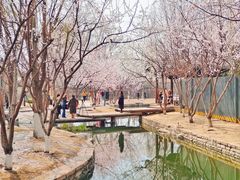 -春风习习