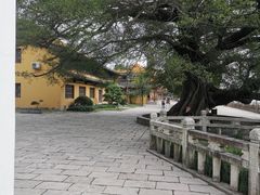 -江心屿景区