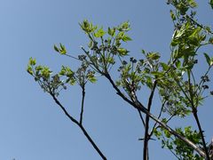 -昆山城市生态森林公园