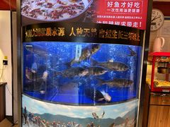 -潇湘码头·鲜湘菜(清河店)