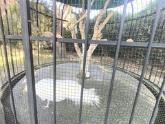 -养云安缦·廊