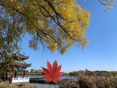 -长春市南湖公园