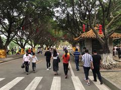 -南沙天后宫景区