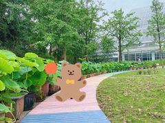 -南山植物园