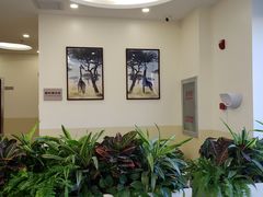 -美联众合动物医院·24h转诊中心