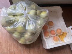 -南汇新场正宗水蜜桃采摘