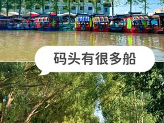 -白洋淀景区